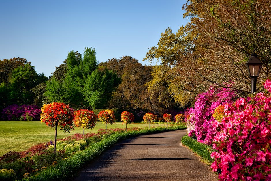 Jardinage Extérieur